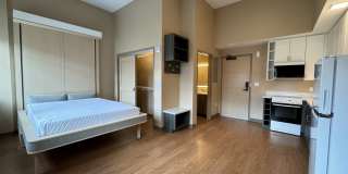 Red Oak at 83 Hanover Street Gallery 51