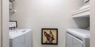 The Pines at Spring Rain Gallery 19