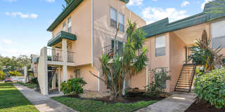 Buena Vista Gallery 89