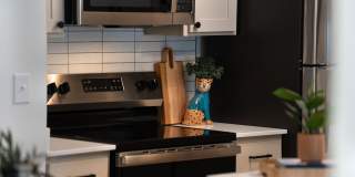 The Moxie Gallery 17