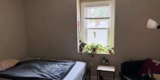 2 Boardman Pl Gallery 10