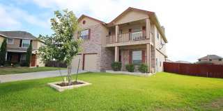 9904 Fantail Ln Gallery 2