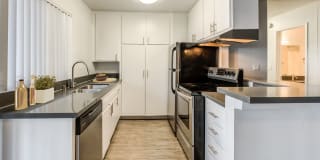 Violet on Virgil Violet on Virgil Gallery 6