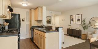 Crawford Square Gallery 3