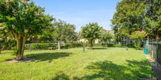 Signal Pointe Gallery 13