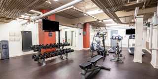 Belvedere Gallery 18