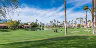 38061 Crocus Lane Gallery 39