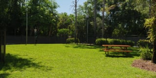 Summerlin at Winter Park Gallery 31