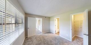 Cypress Run Gallery 27