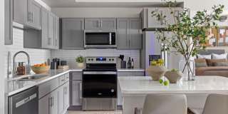 Estero Vista Gallery 1