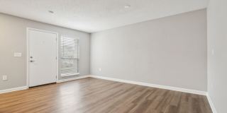 Buena Vista Gallery 65