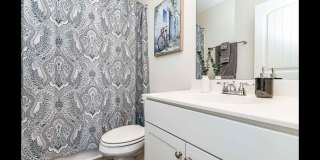 805 Scarlet Gallery 18