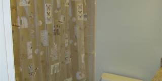 3 Bedroom 1 Bath Pet Friendly Home For Rent! Gallery 15
