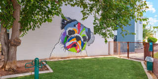 Capri on Camelback Gallery 28