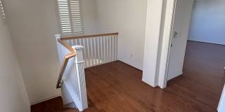 13512 Scarlet Sage Trail Gallery 23