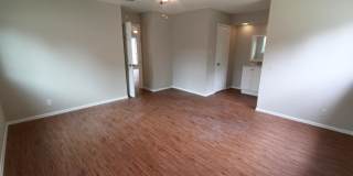 East Austin 4BR Gem on Cul-de-Sac w/ Spacious Lot & Updates Gallery 7