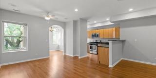 7717 N Marshfield, Gallery 4