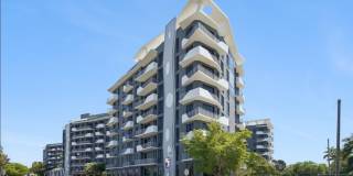 Aura North Miami Beach Gallery 4