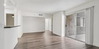 339 S. Ardmore Gallery 24
