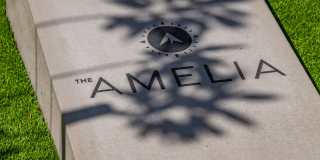 The Amelia Gallery 35