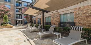 Auxo at Memorial Gallery 19