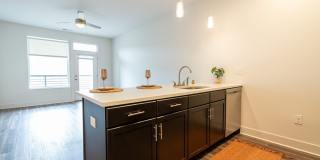 One41 Wellington Gallery 33