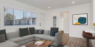 Palm Court Gallery 2