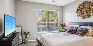 Bridford Lake Gallery 17