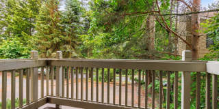 Beautifully Updated 2-Bedroom, 2-Bath Condo Near Downtown Kirkland Beautifully Updated 2-Bedroom, 2-Bath Condo Near Downtown Kirkland Gallery 10
