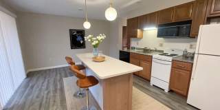 Nice 1 Bedroom 1 Bath Unfurnished Condo Recently Renovated - ASK About Our Move IN Special Gallery 1