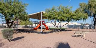 Renaissance Gallery 38