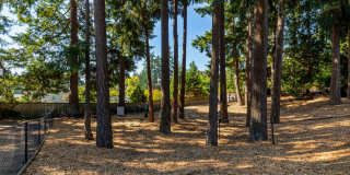 Scout apartments Gallery 39