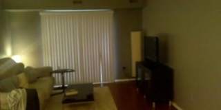 4314 Albert Gallery 2