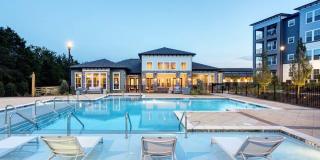 Avery at Turkey Creek Gallery 3