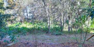 20119 WEEPING LAUREL PLACE Gallery 47