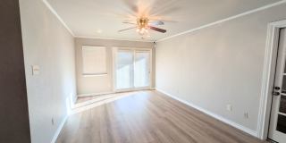 Leon Valley Gem!! Gallery 33