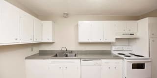 Noah's Landing Gallery 2