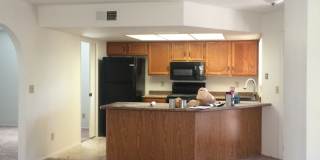 Beautiful 55+ Ahwatukee neighborhood spacious 2/br 2/ba home -  Rent Includes membership to Ahwatukee Recreation Center Gallery 14