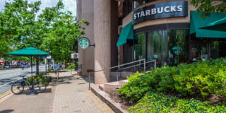 Crystal Place Gallery 85