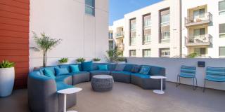 Vive on the Park Gallery 29