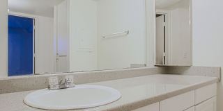 Paloma Village Gallery 5