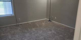 Ashwood Gallery 8