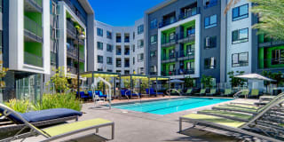 The Lex The Lex Gallery 39