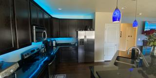 7413 Pimlico Dr Gallery 22