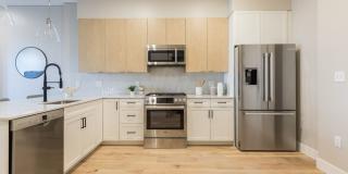 Cadence on Leo Gallery 4