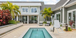 Palm Grove Gallery 29