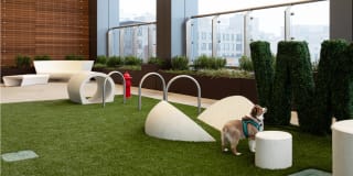 Hub50House Gallery 2