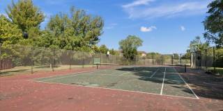 1446 Chateau Cmn unit: 104 Gallery 16