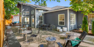 Desie Gallery 13