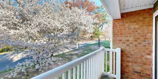 Legacy at Mayland Gallery 25